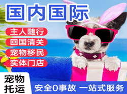 临沂启阳机场快运国际宠物托运 【国